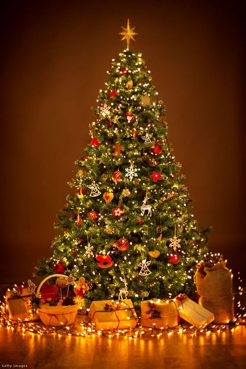 Kellemes karácsonyi ünnepeket kívánunk minden kedves tanulónknak és dolgozónknak!